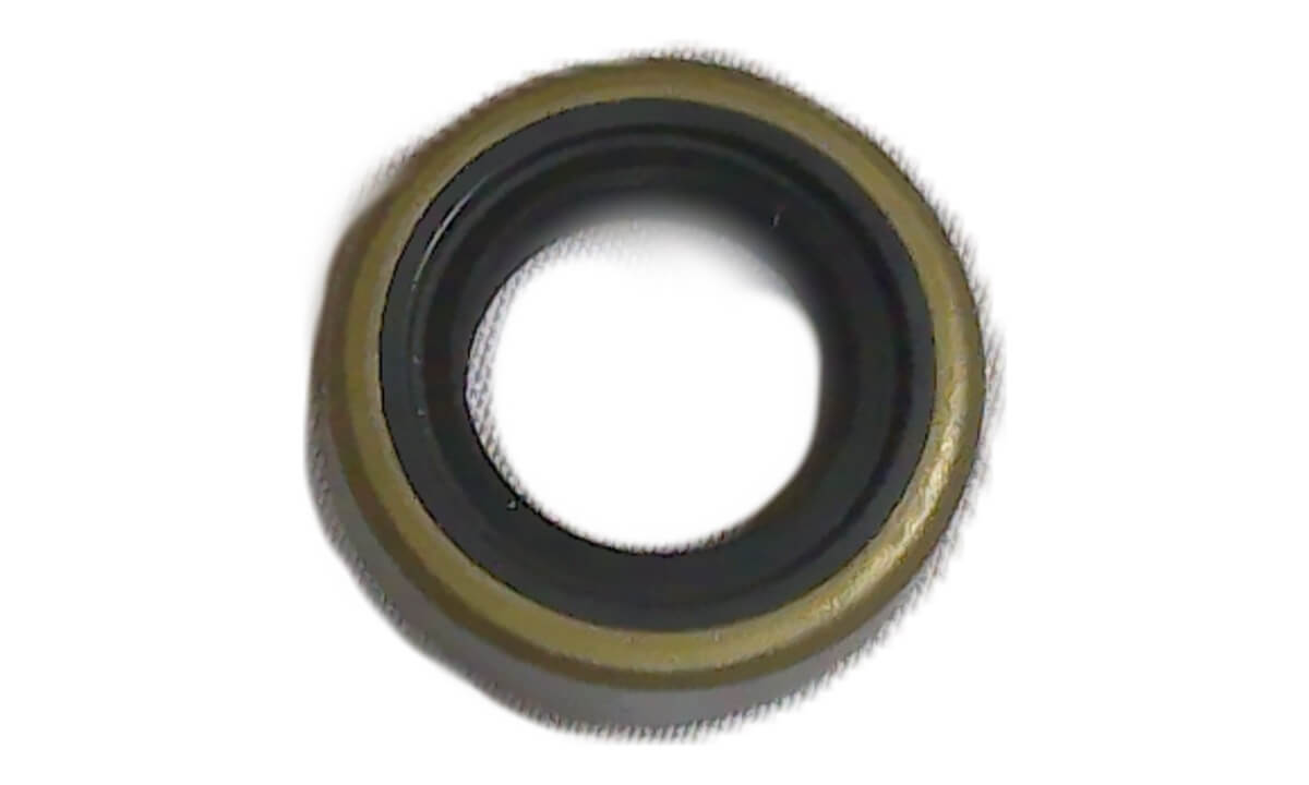 Oil Seal 1
