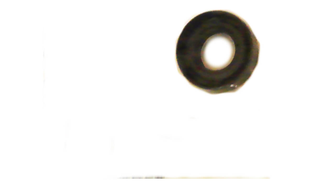 Oil Seal 1