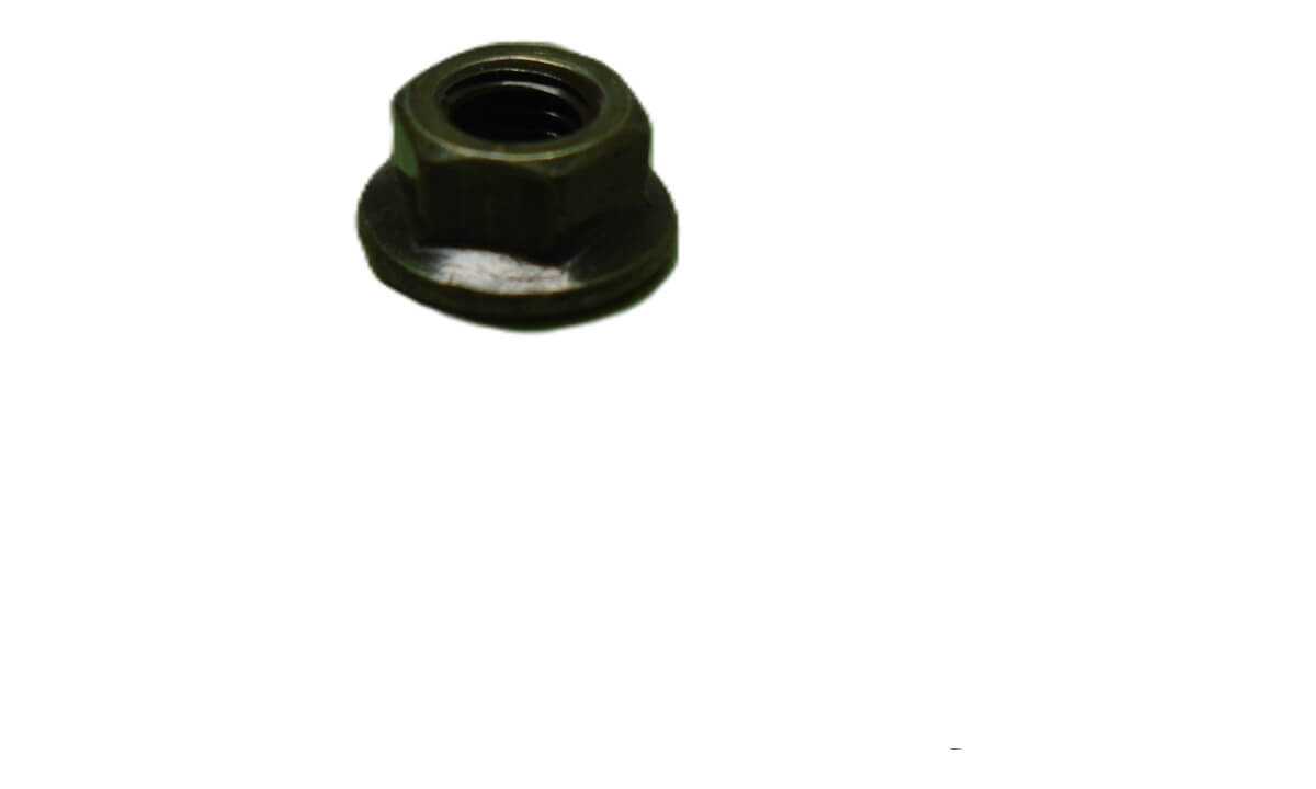Hexagon Flange Nut M5
