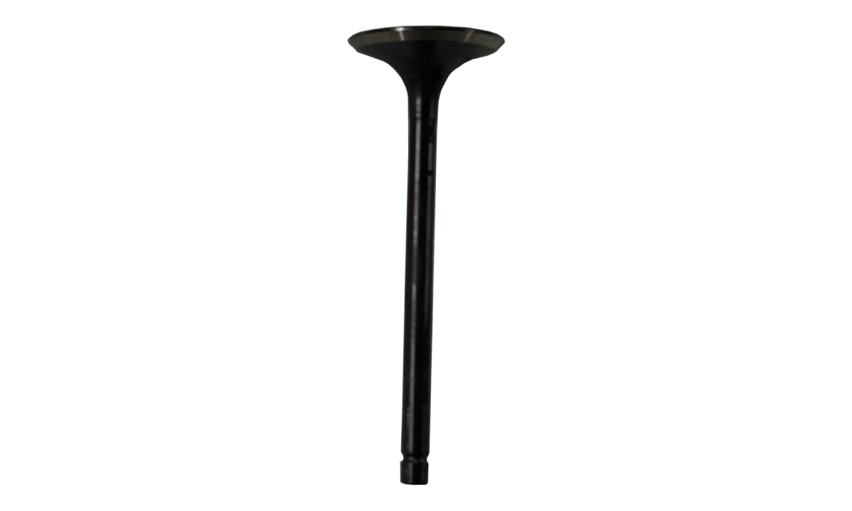 Exhaust Valve