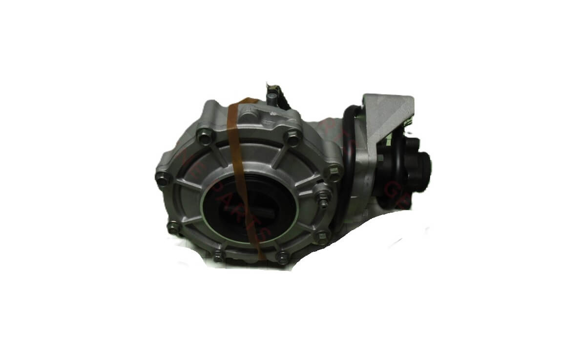 Rear Differential  Assembly